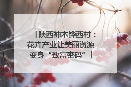 陕西神木铧西村：花卉产业让美丽资源变身“致富密码”